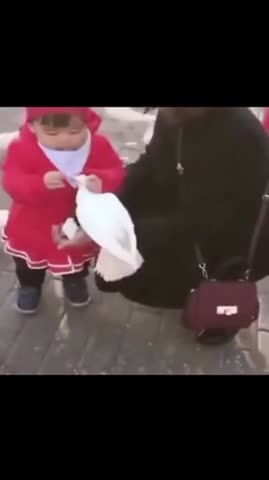 милая_девчушка