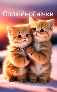 FB_IMG_17253920627100359