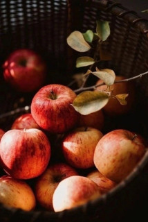 4on4tidXqM8OZYPm6glg8JwhKe7ZRIac-8DnAUPLrwC951J3PMZoX_UxhbuD9Jm6aIF65v2zxxnapEpv1qL3neHO