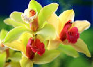 images-23