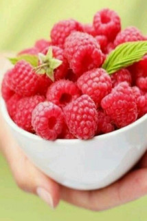 RAflhpzCpgqEBIrkK06ypDjtRRZDoYxniC0m7987s37Zut8lw4uXOBBu1z9IdekyVWVzxXKEe8Kso6-6VRdgUBlv