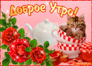 Foiz_PRO_IMG-3ea44c9825acda43d719780a6e54be89-V