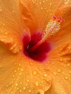 xJarBRRg29PO-79MsggisH8ypadnJQt9h9Kqpya4tq9s8ayz5O8zEhfPU_wOAjEpl3dSLlSnpM3zhUI5SnjHCZRO