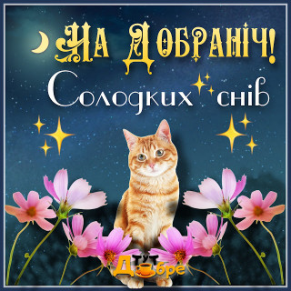 Foiz_PRO_Picsart_22-07-15_22-59-06-074