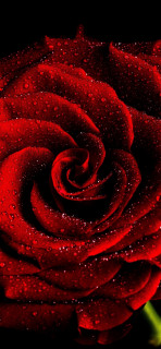 1-MZtWmEgX4DsgyGDRMQo3YudopiwJ1Uv622qyFCOlMhRrK_HCzfrhMXaTJupeVMngKl963pAFDFcTzRXpqiwl0g