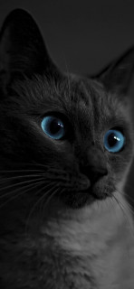 9va5JO7qfBy0IsnwP3VMSON23THoqfda-8o3kODGNtKM6fhkmGPzE-6SFvn3Y3gDlqEk3ywE-b3jz8q-ferM1CPE