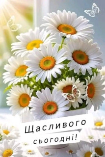 FB_IMG_17259594645873025