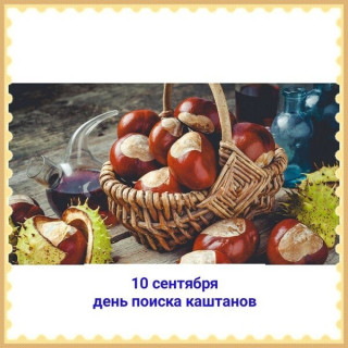 i_-_2024-09-11T120228_858