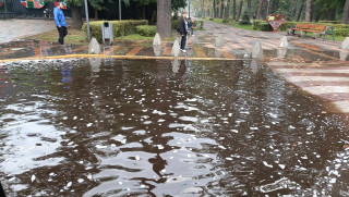 FB_IMG_17261185356462061