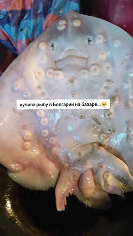 Купила Ватаса