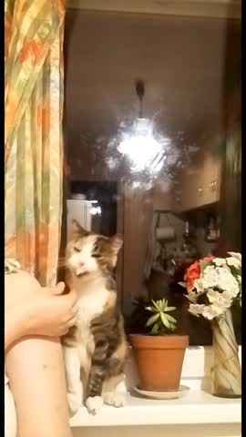 Не растерялась