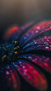 L72A-tVSpjKXj9tkW1ngvMMirHvZmqhLpjJ6dkvXSYih2mYkhDMLdkshWn7lLljKYmuSNa4FiUIOLp1gFP9L79