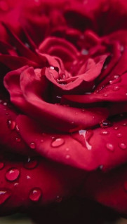 pHlgMnQ2t9bQWnBsKpOlN0SYbiHZbOCNSPyAkekTsf-3GZs89T2HChh41OT4O3VTzXGXxzywyqd5Aka1TMXbUudf