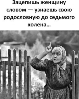 IMG_1726160352697