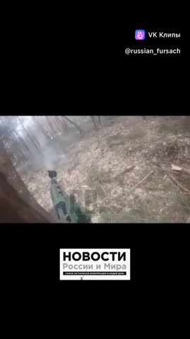 clip-149802835_456241045