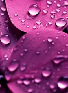 51lv34vQMHwHX5YgUKUgTAyIbbWrcYEFR5Z2MeTXhtNKUmfhmbAxNyvGUDs6rhRA6xYhP5rBObuo21si-uEamD3K