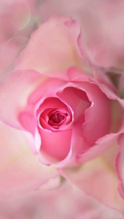 CwssmfxHa0Bsws-zpXaIvKbZTD_BHtxq87PpD-KvmifLTQxz7pjjoeq7JI-yce4l-OKKb-C6HeFAFF7lVW0VIMYd