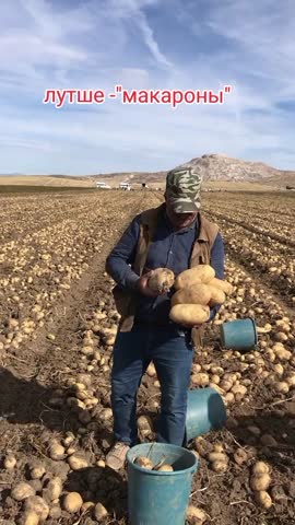 TikTok_video_7405453265447456006MP4