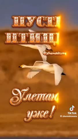 Доброе утро