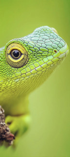 QC6dfCZdocAhMomzlSKMxXuRP79YOypQrIN79FKnuxYvXv68C5PfgBs2jlK2Dq9EWzbrbdKf0iak6bR5nyiiHu