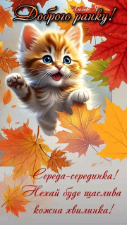 FB_IMG_17266373701579507