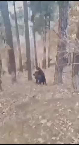 Продам неохотничью собаку