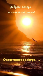 IMG-39c75d3302273f2e05cb10b8cd3b85c8-V