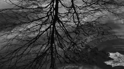 Блюз_рок__лучшие_композиции_Alvin_Lee_-_The_Bluest_Blues