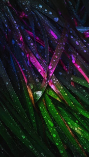 kQFIWmgIdULK9NQWQa8_ePUxd9UhG3HgIeKKxH629vl2hsUFdxuIgSydrRhlEIhvBo6dE7u0X67pHLcAXOpZBtNB