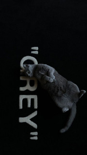 BVl_UMRzVKXOCCnc0Px51_QxeRpcU_ZjmyLoYouHSwO0tLdCqAy1JmvNY54y9qvw2o380G5baieZk8ArQCIqSEkK