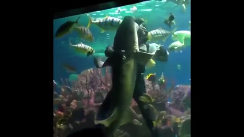 а_я_и_не_знал