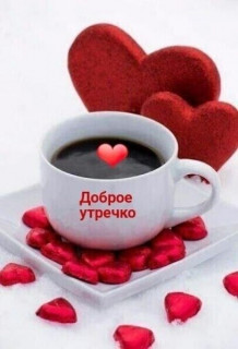 Foiz_PRO_IMG-20230514-WA0001