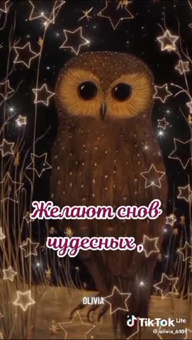 VID_20240924_222723_301