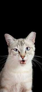 E2aY7kU8vf2p4R2TyNj2AccEoqpmPD9iBWXr6UKg0Ohb9a1WPUqEaacbNhoY49j0wgC_1UoET1Mczh6TC6RLrMIV