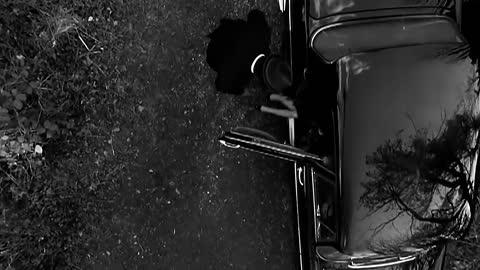 А_я_возвращаюсь___к_нормальной_жизни