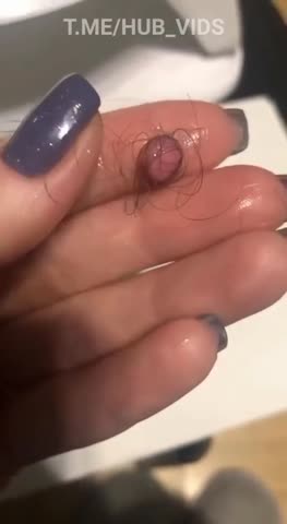 VID_20240926_152616_233