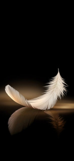 tM74X5-a4p_jD9cSj3bmpadalPyIyoe6Qd41HG9MluFiWrTxRzMl_sRtXX9vOQlct_dXouTa-kPKkNSwKoF5bm0H