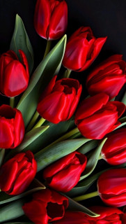 lNe86vyi41NjpErBijKtnlR7mS4fnBJywsGSFUlUGcbmhLOxdlwMWcwirE96w0AkC4sop5-10cIYfIjJsi_6TLgU