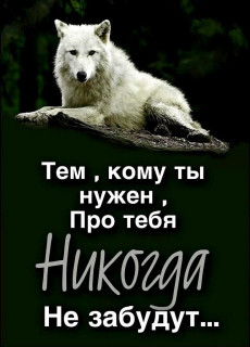 IMG-822b6ed6c10af271fcf747bd081c2e8b-V