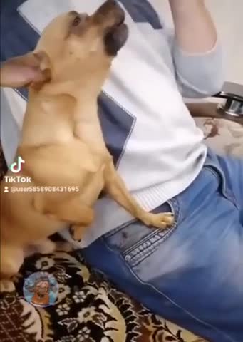 Песня за столом