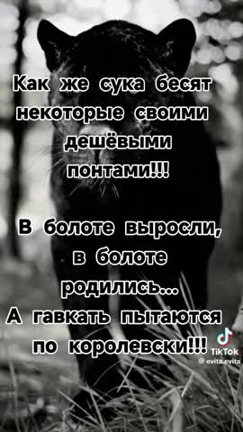 a161bcb182babf29283503386d7ea7a5