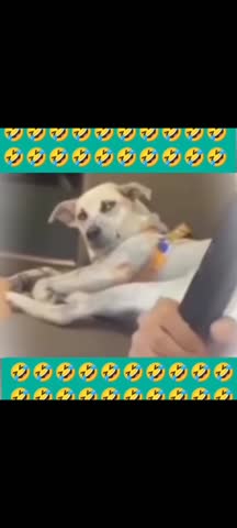 Юмор Этот взгляд это чтото