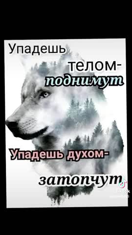 e6b2822bf39fd4aa8013ce8bcf42b903