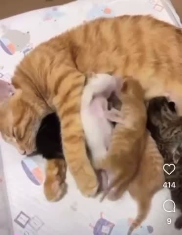 VID_20240929_094042_537
