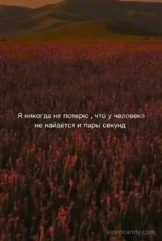 я_никогда_не_поверю