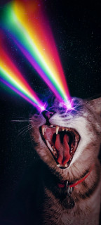 v9hsldVHUtCvmIvTVjPyx8Ucv7L1pauJB2l8D3oDMiwnsQK47fREEDHX_AbLjE6LOLTOb8hN1MnGm0NeN6mfV406