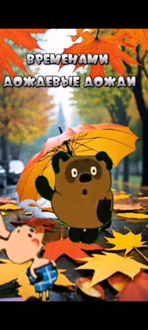 Юмор Дождевые дожди из дождя
