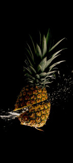 aezM4Yl0q0lawVzdLoMDBLYF0KrJUlEdVClF4cxNUkns-ydPGtugSP45_rPMFYc51QZajzhjxY7t7VQEWOy88mV3