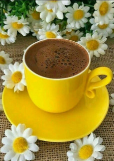 Foiz_PRO_4043098bf6b59f705b3b5047e5630f51