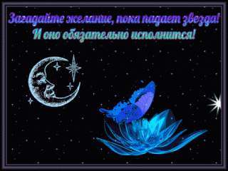 529047549860299